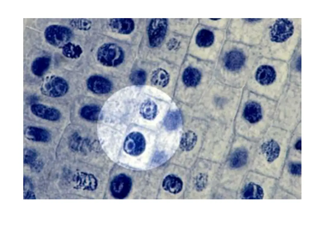 slide6
