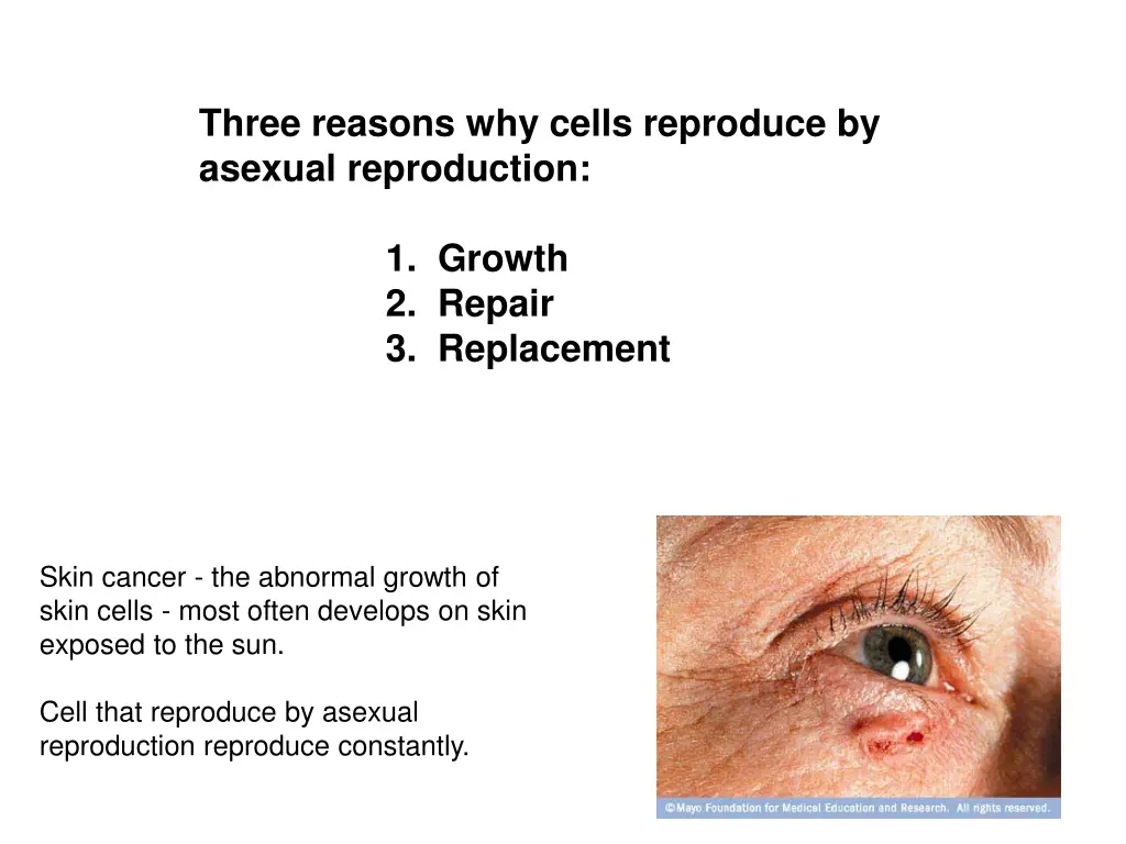 three reasons why cells reproduce by asexual
