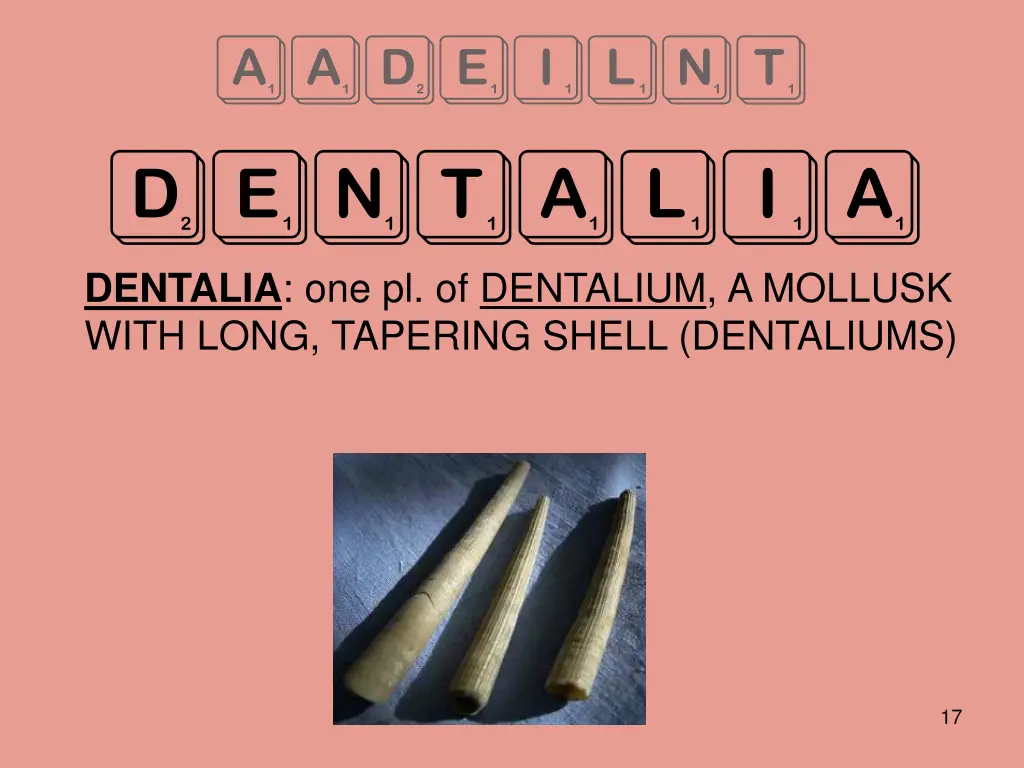 aadeilnt dentalia dentalia one pl of dentalium