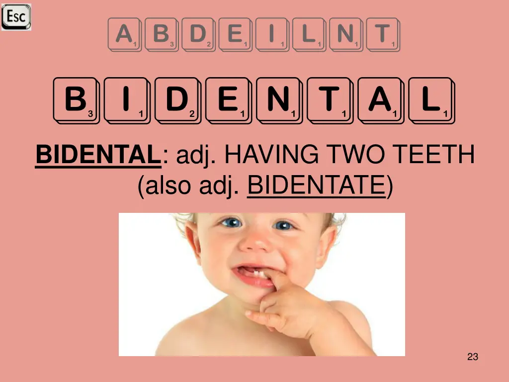 abdeilnt