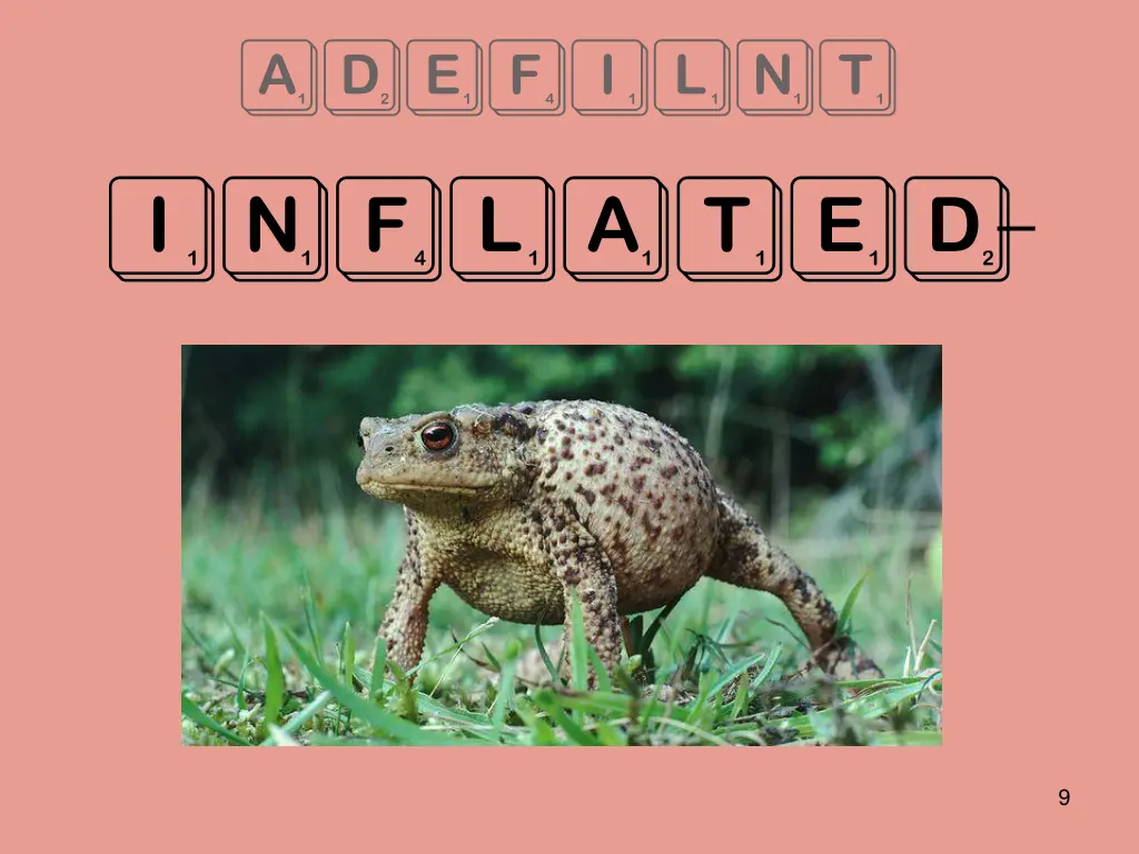 adefilnt