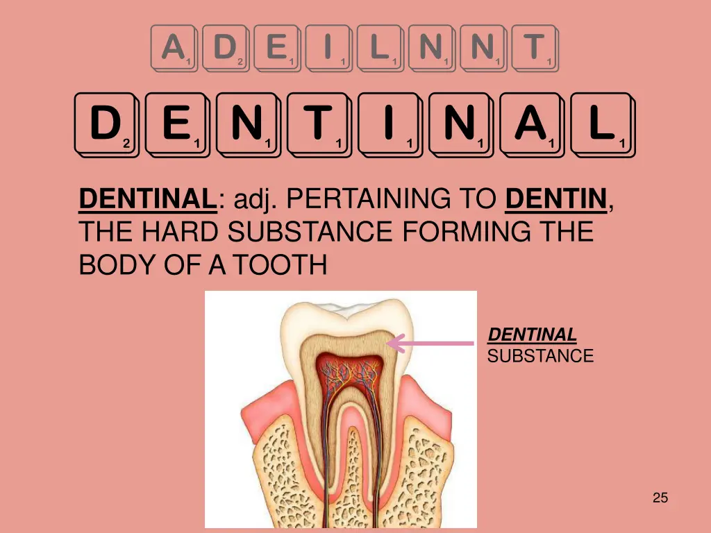 adeilnnt dentinal