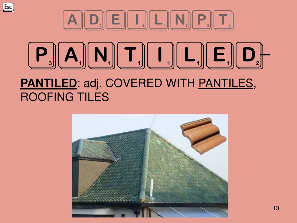 adeilnpt pantiled