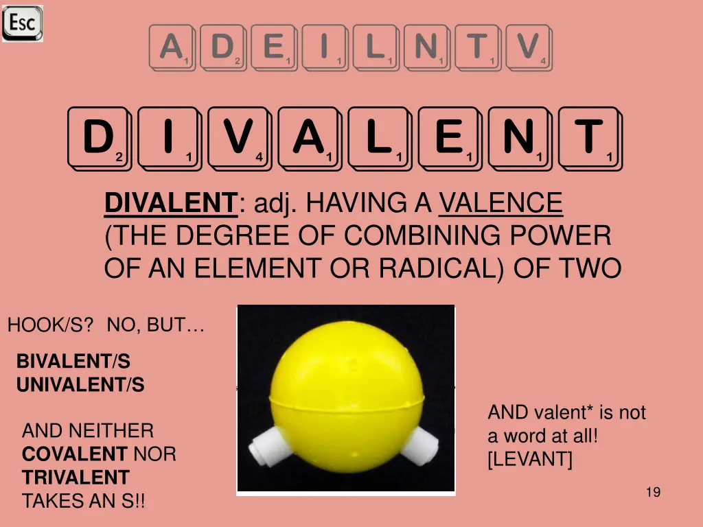 adeilntv