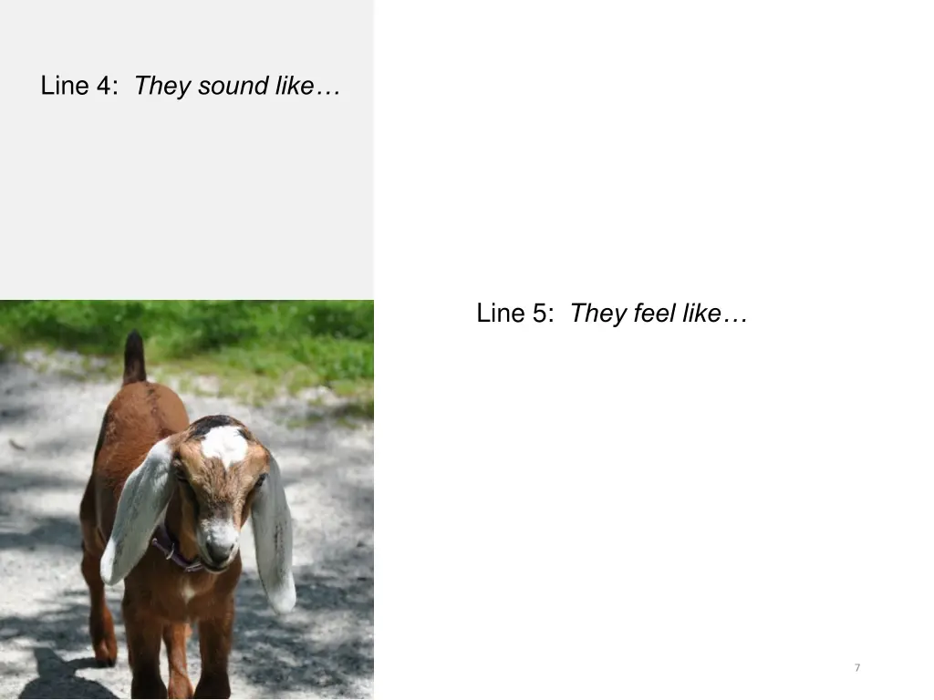 line 4 they sound like