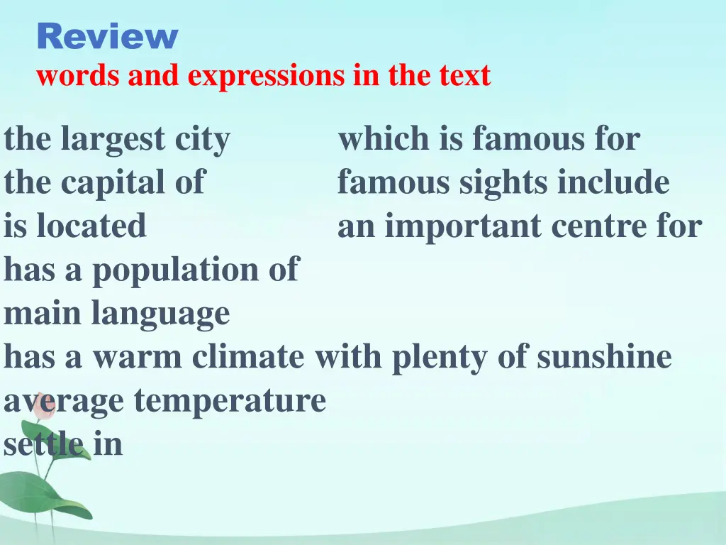 review words and expressions in the text