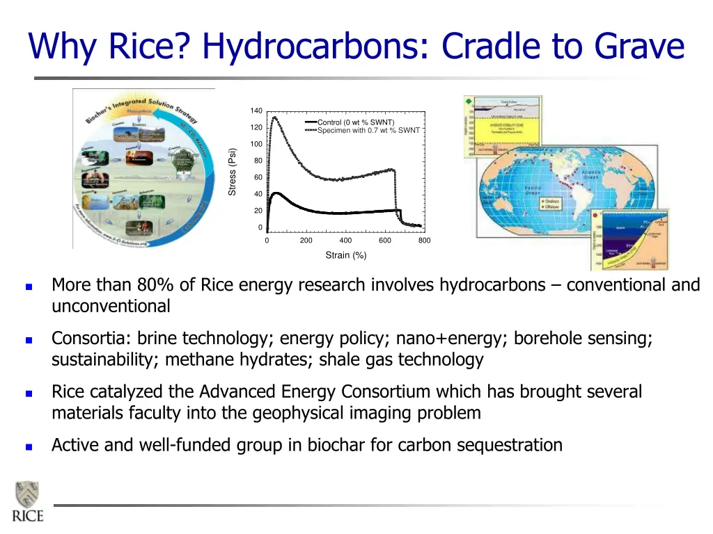 why rice hydrocarbons cradle to grave