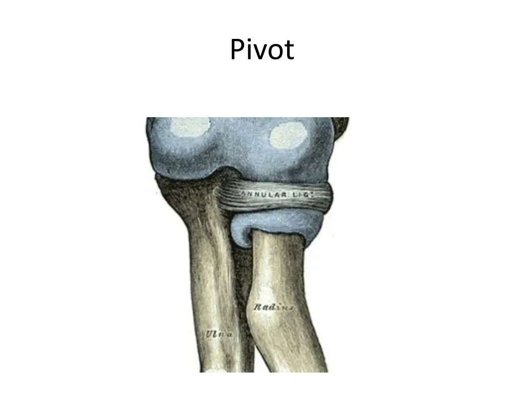 pivot