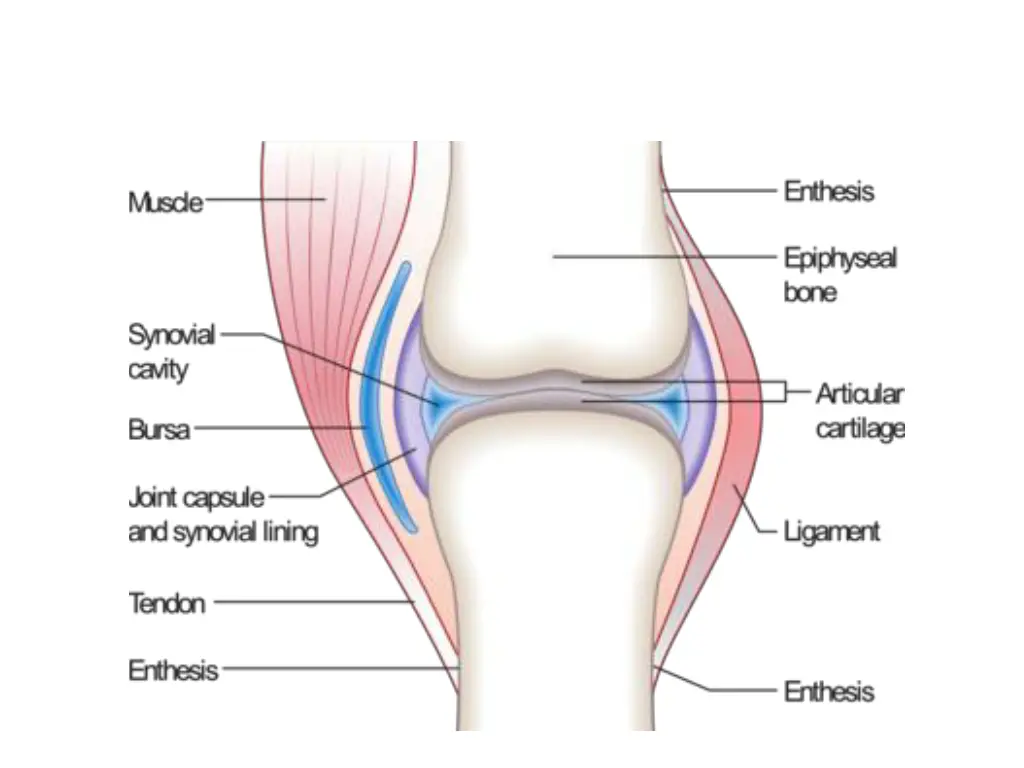 slide30