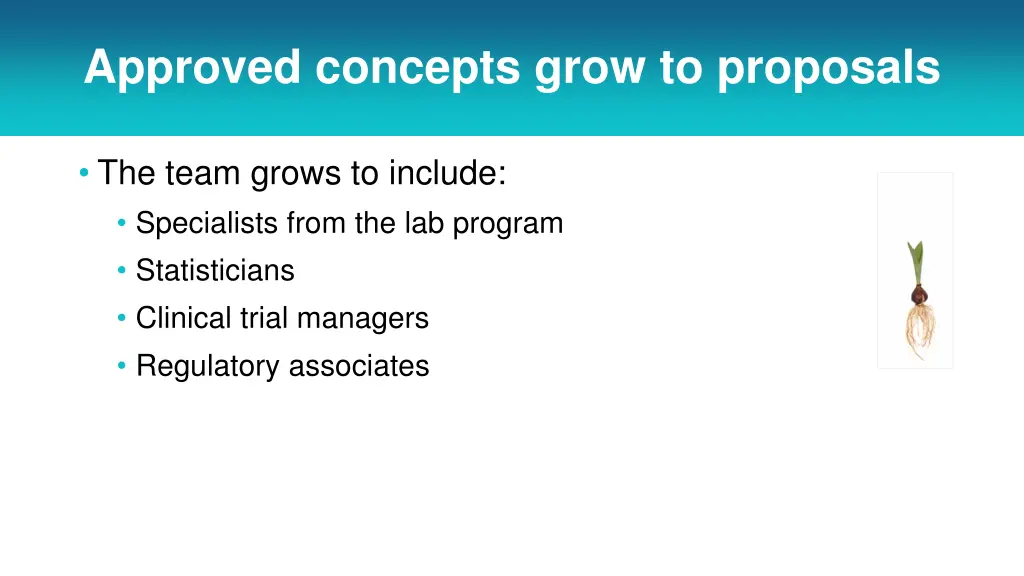 approved concepts grow to proposals