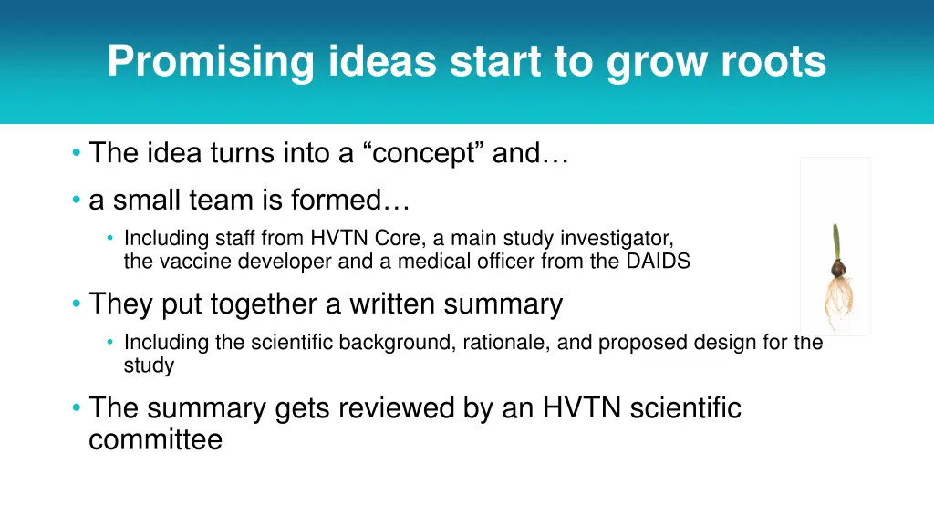 promising ideas start to grow roots