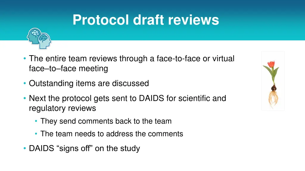 protocol draft reviews