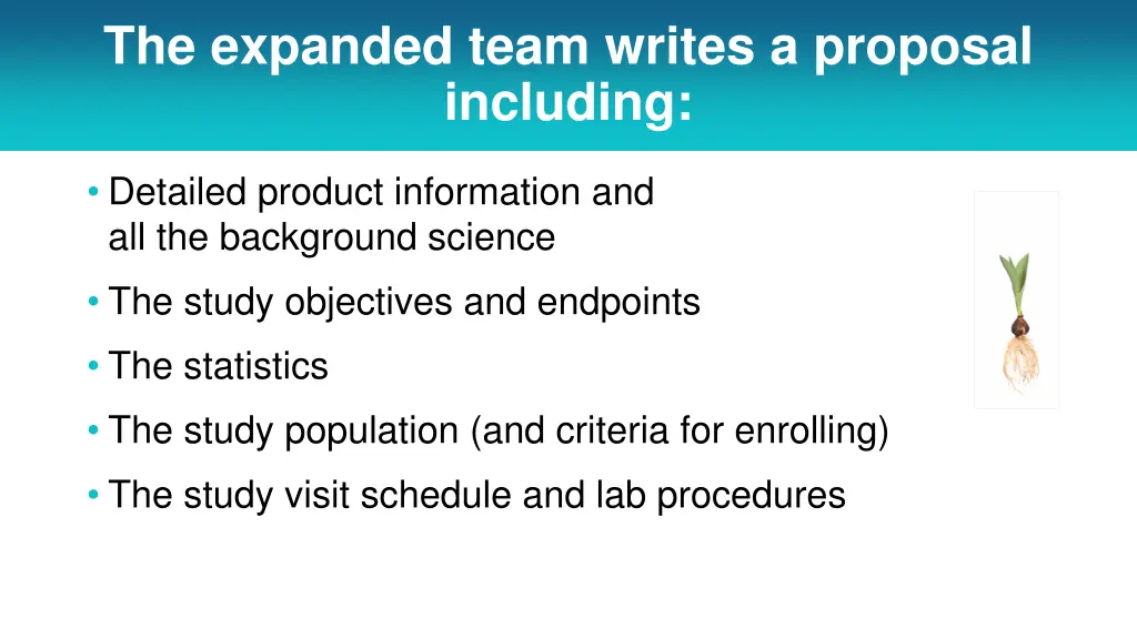 the expanded team writes a proposal including