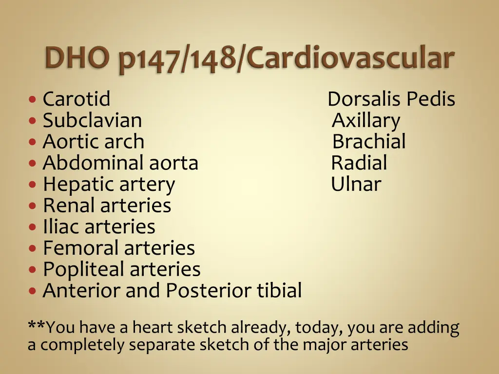 carotid subclavian aortic arch abdominal aorta