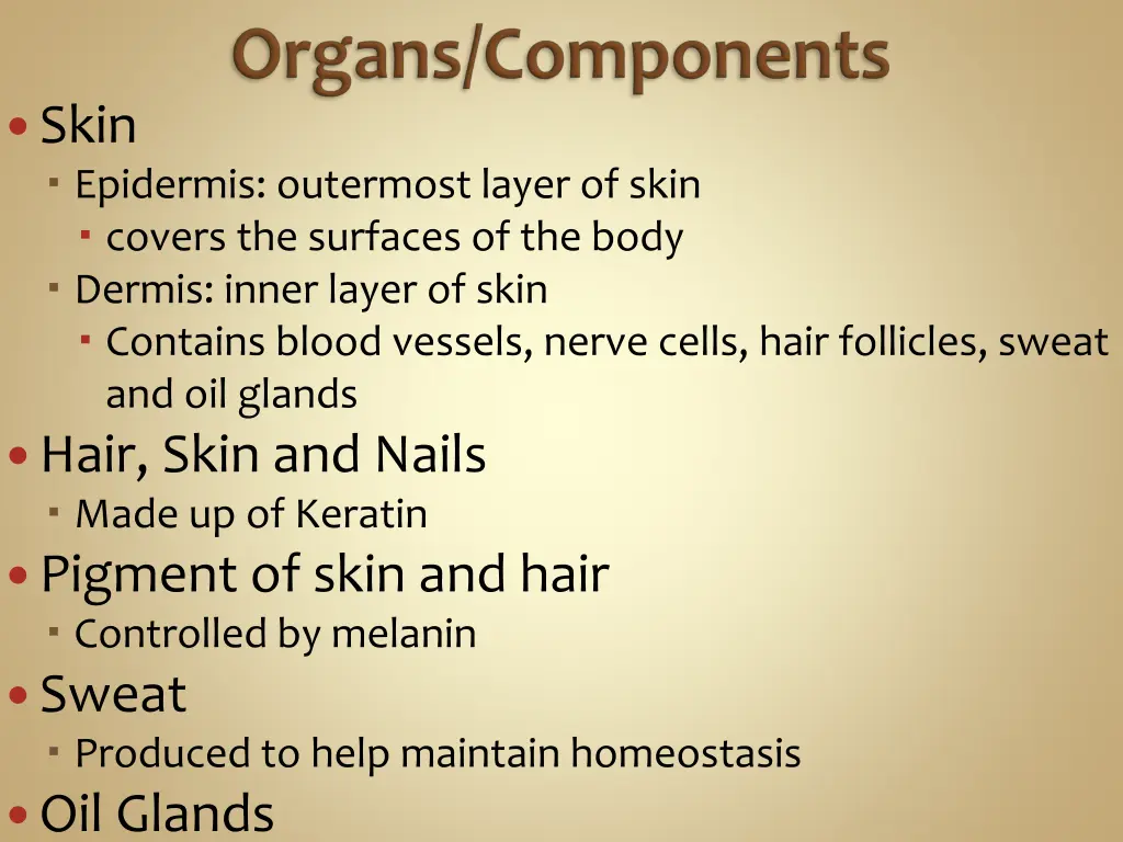 skin epidermis outermost layer of skin covers