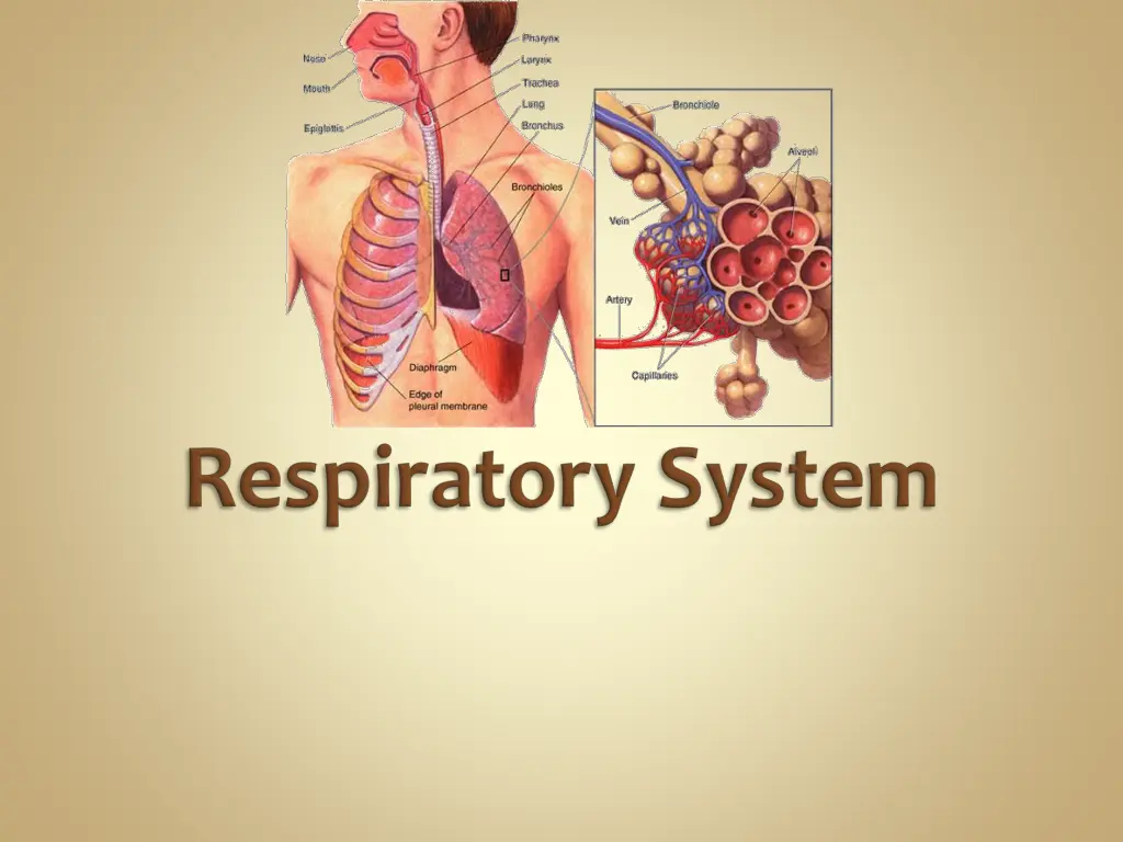 slide14