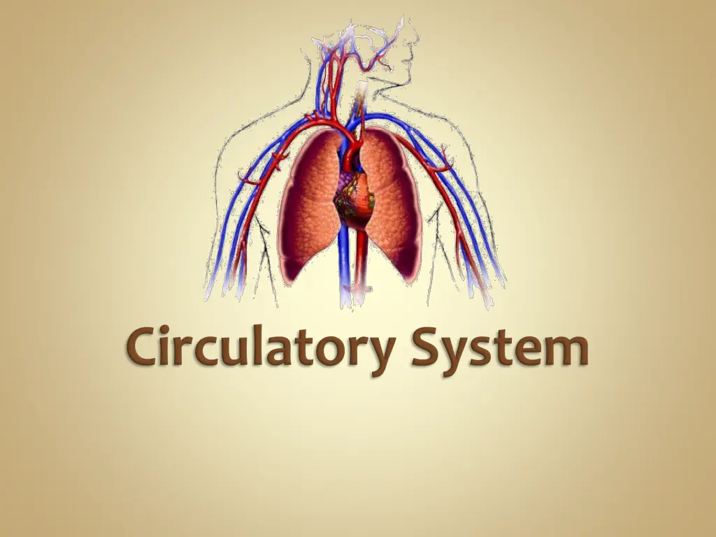 slide23