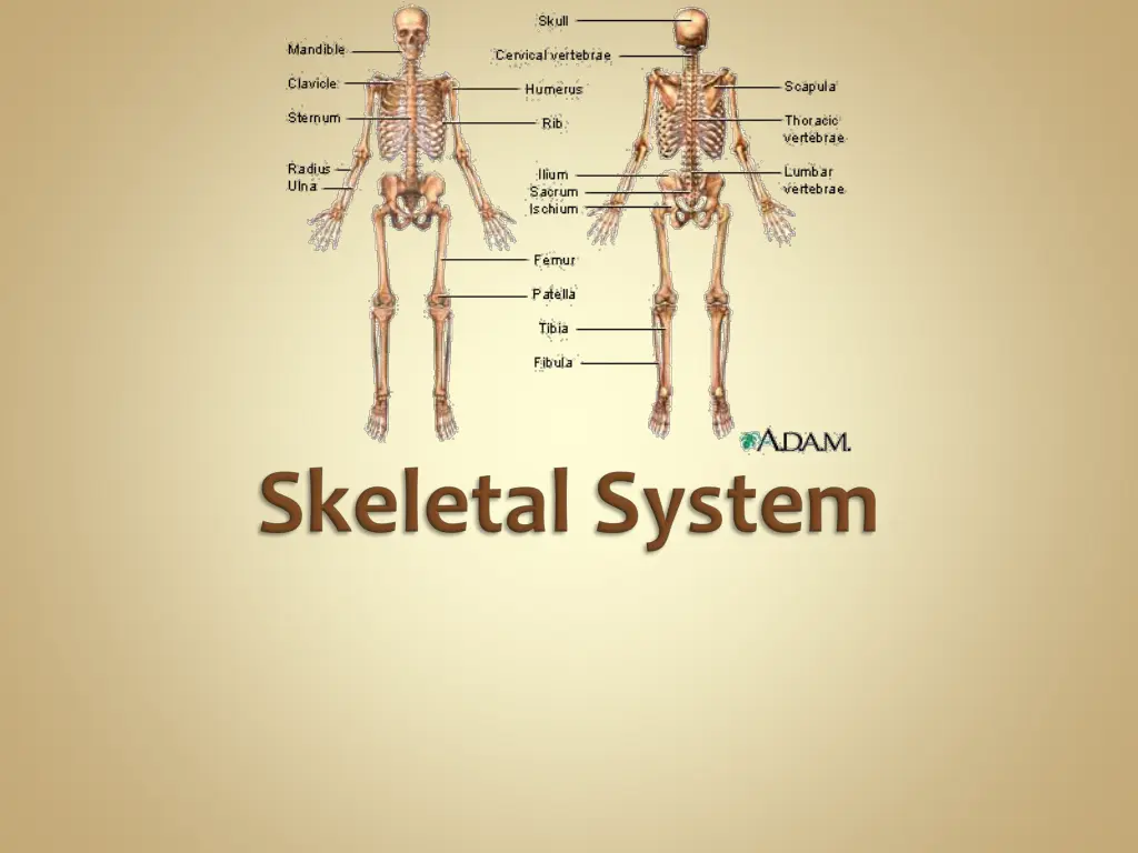 slide30