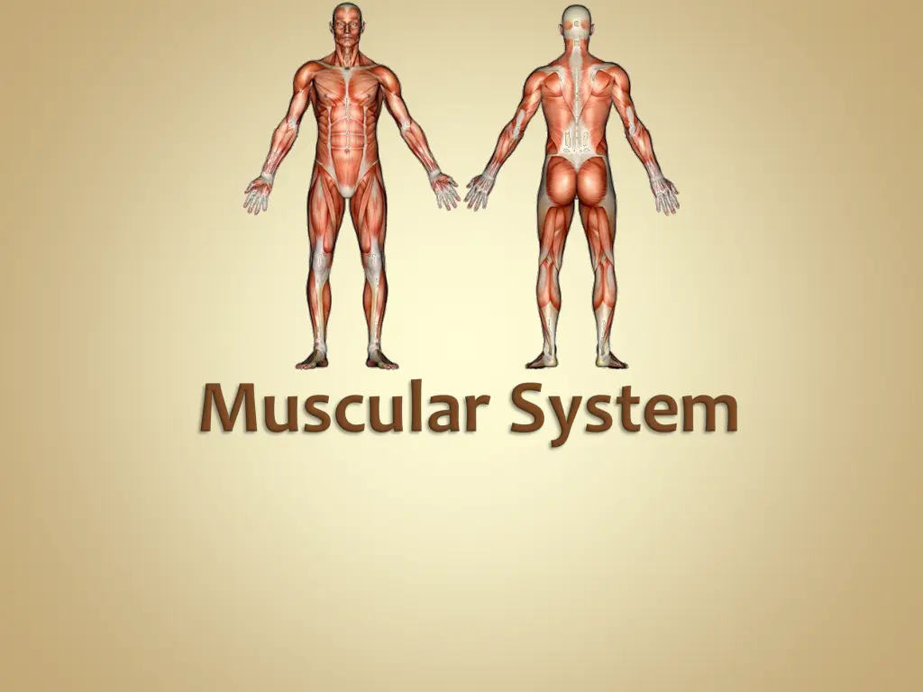 slide35