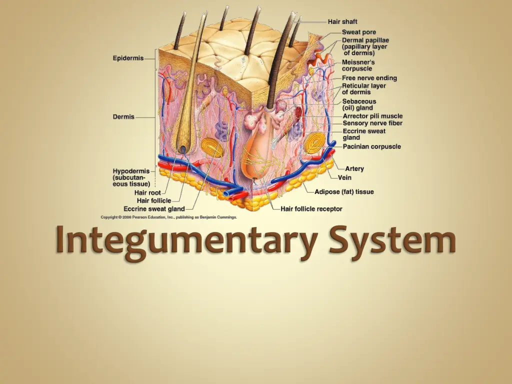 slide47