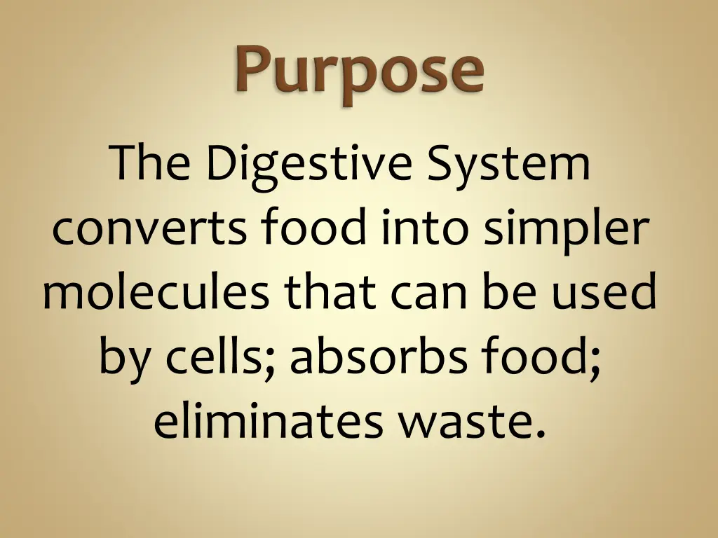 the digestive system converts food into simpler