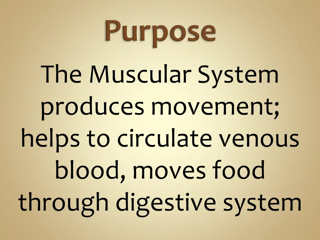the muscular system produces movement helps