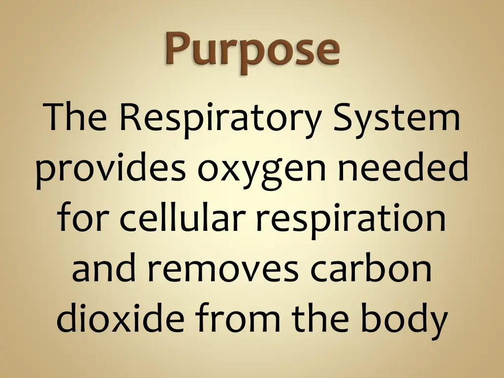 the respiratory system provides oxygen needed