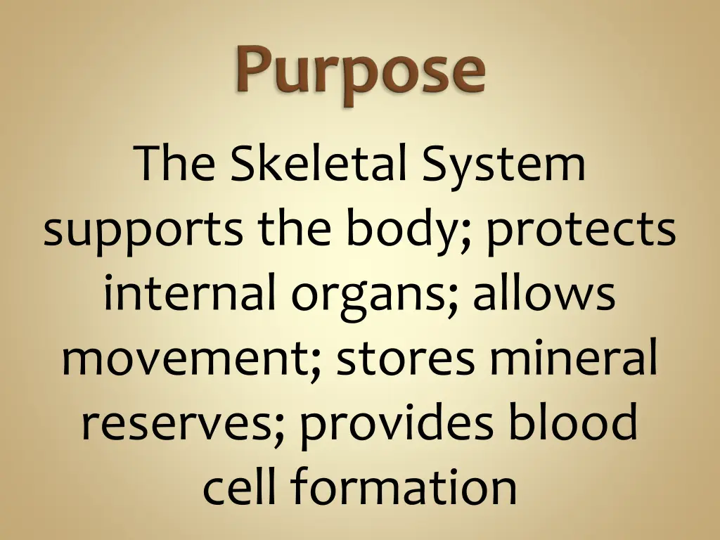 the skeletal system supports the body protects