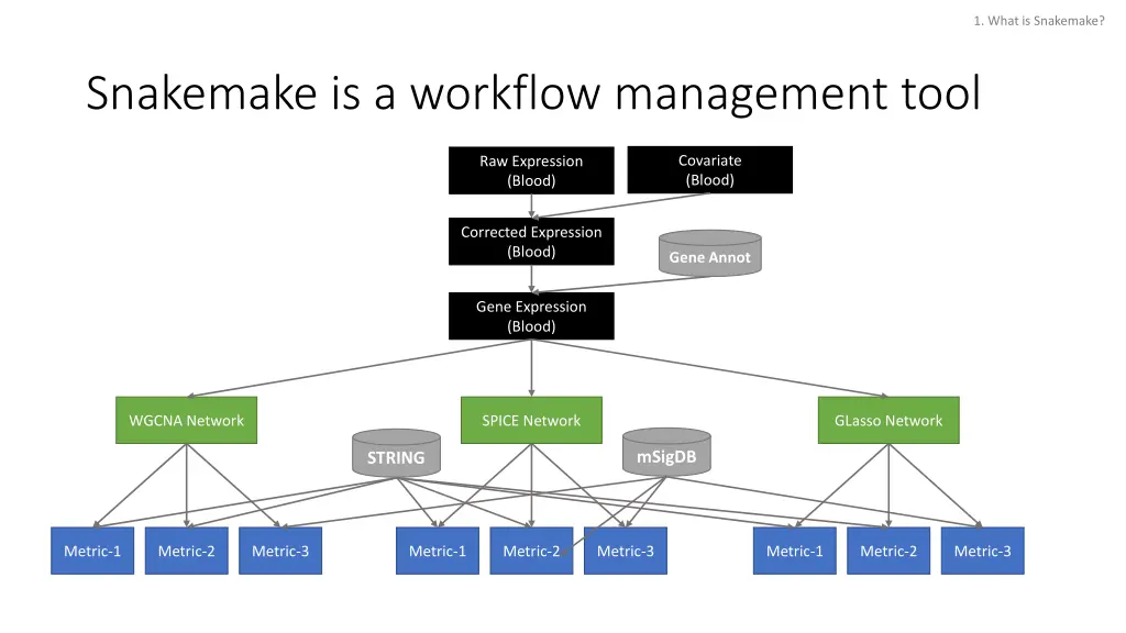 1 what is snakemake