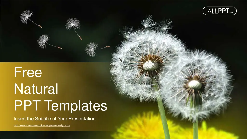 free natural ppt templates insert the subtitle