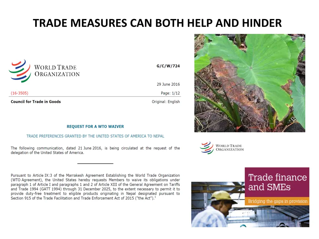 trade measures can both help and hinder
