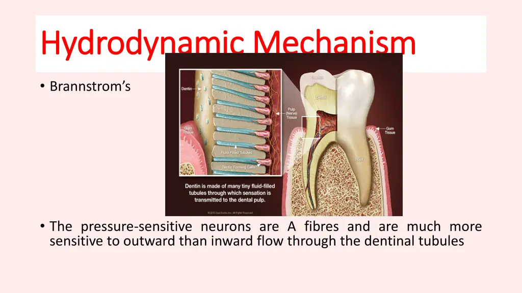 hydrodynamic mechanism hydrodynamic mechanism