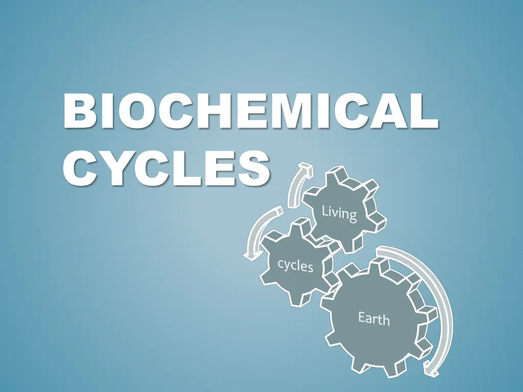 biochemical cycles
