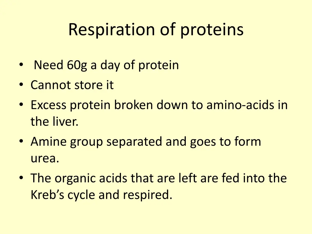 respiration of proteins