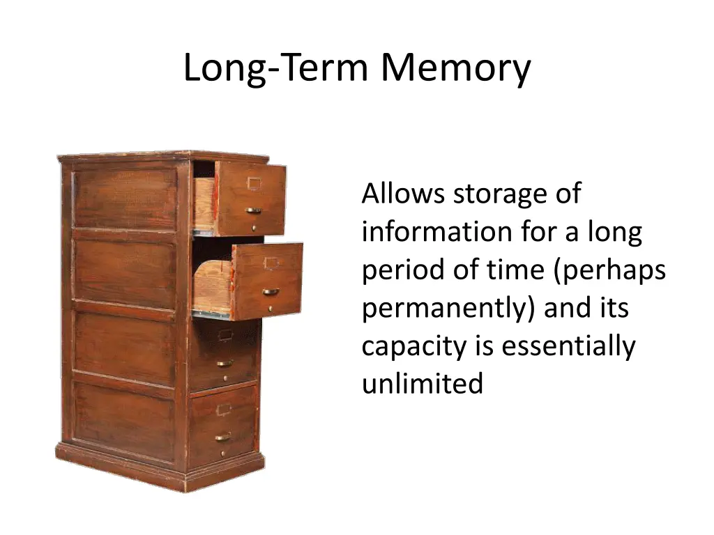 long term memory