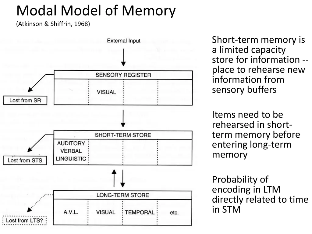 modal model of memory atkinson shiffrin 1968