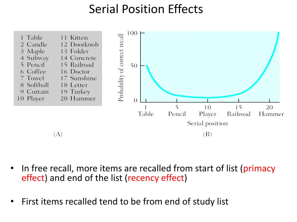 serial position effects