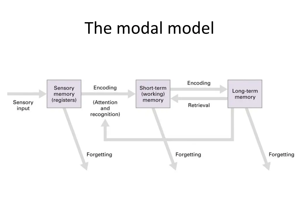 the modal model