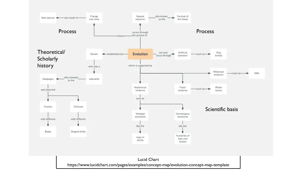 process
