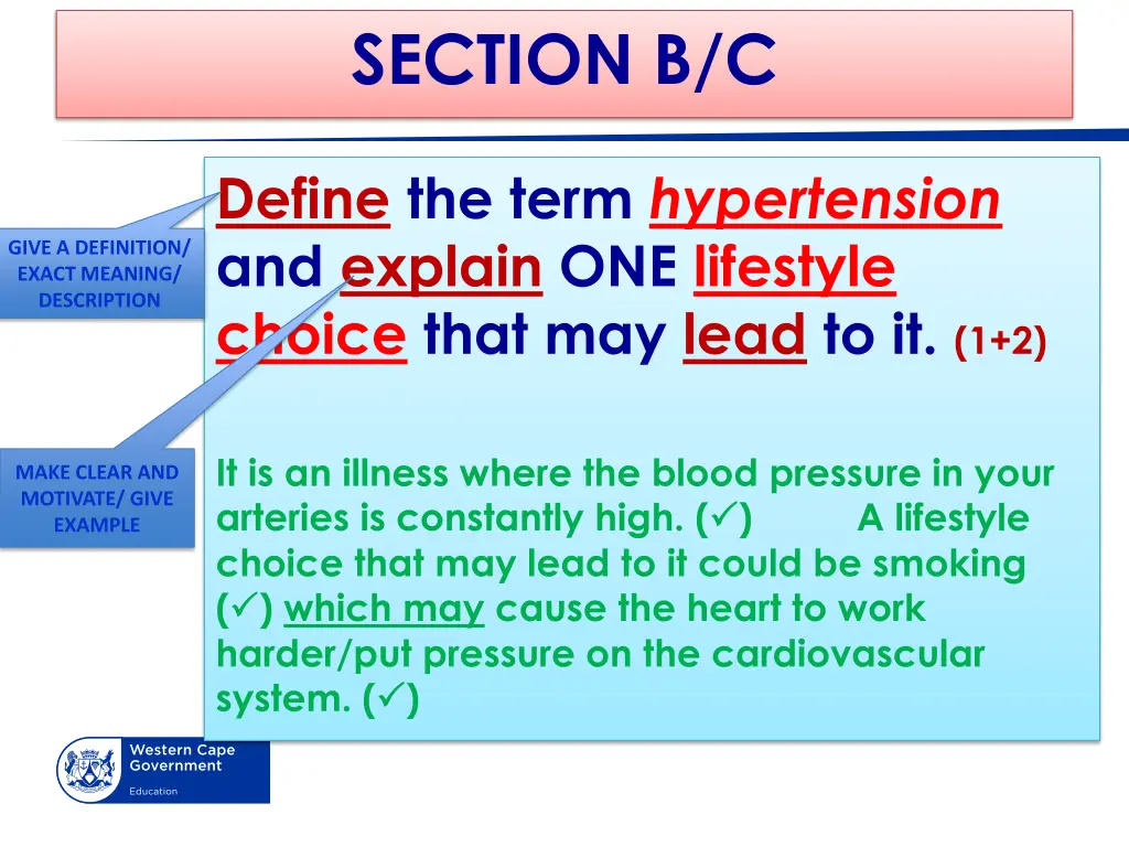 section b c