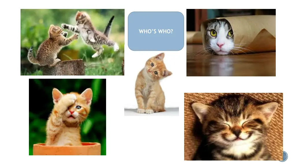 who s who