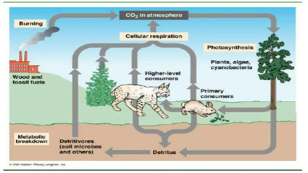 slide10