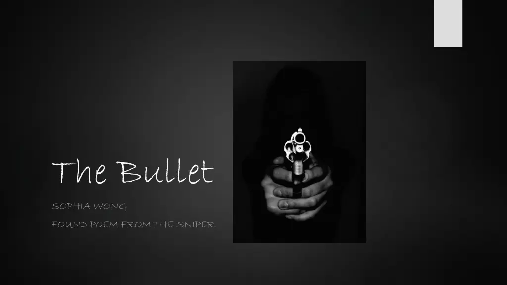 the bullet sophia wong found poem from the sniper