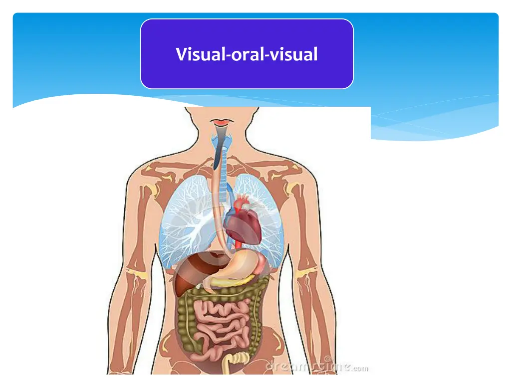 visual oral visual