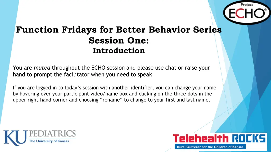 function fridays for better behavior series