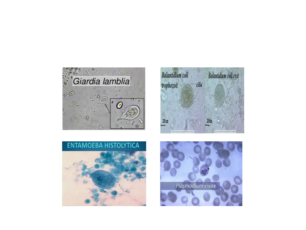 slide10