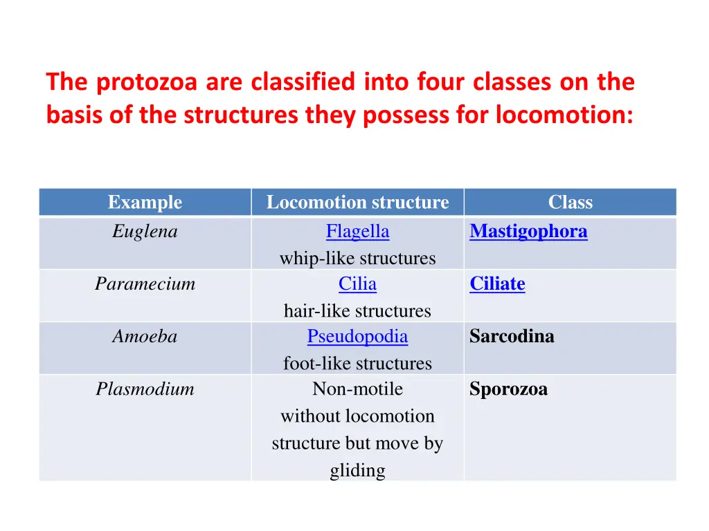 the protozoa are classified into four classes