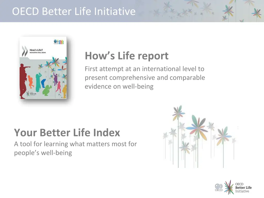 oecd better life initiative