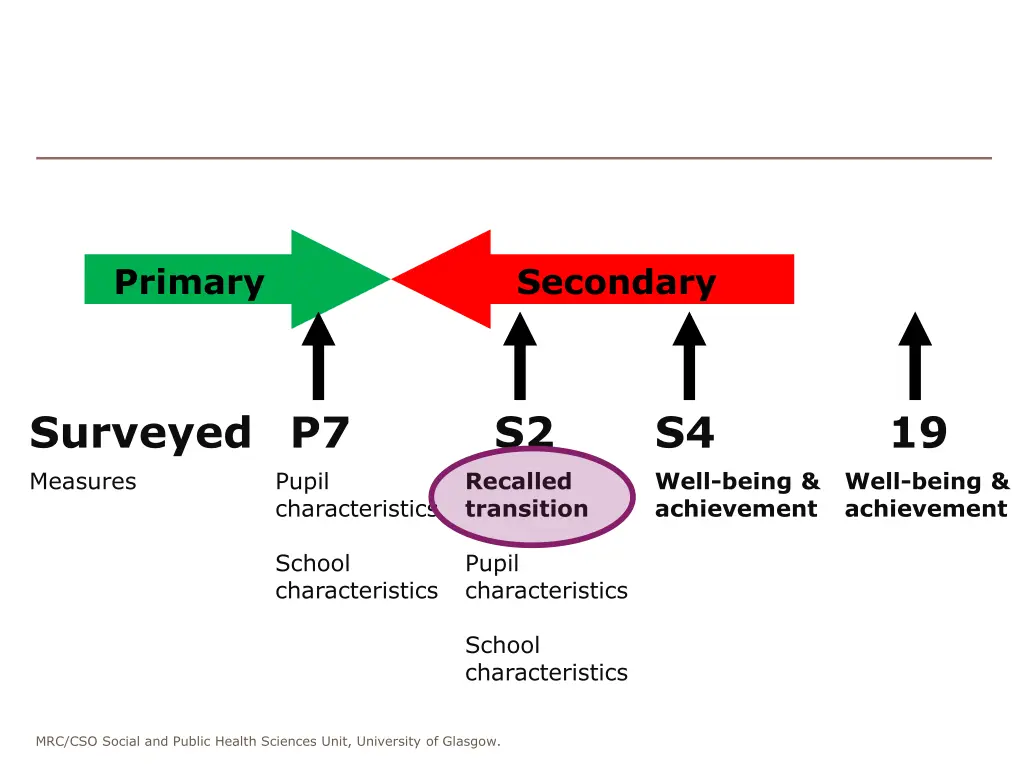 primary 3