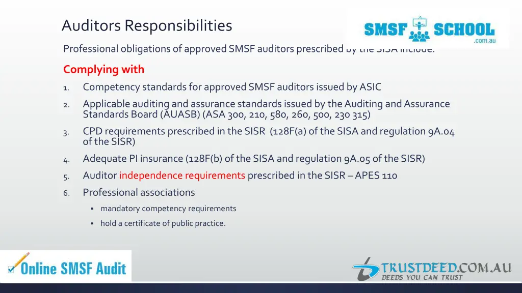 auditors responsibilities